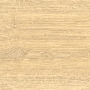 SW9032 - Dent Blanche