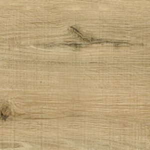 SW9038 - Parrotspitze