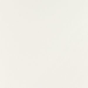 LelieWit econ 1004 parel (RAL 9016)