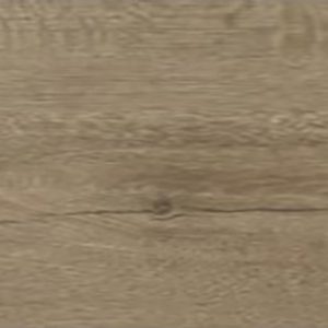 SW9416 - Silberhorn